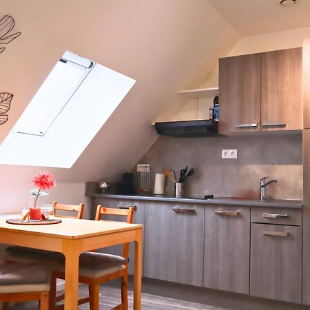 Apartament En Plein Centre De Saint-omer - A 5 Min De La Gare, Parking Prive Gratuit